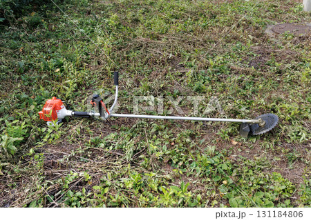 草刈りイメージ 131184806