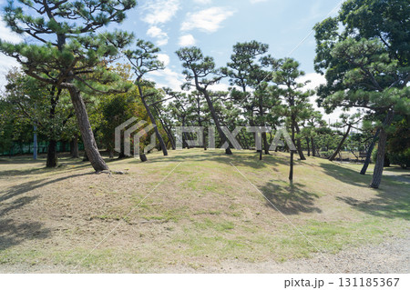 蘇鉄山（大浜公園） 131185367