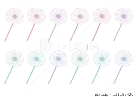 タンポポ 131185420