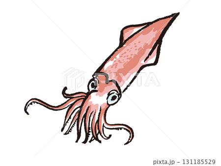イカ 筆絵 イラスト イカ 筆絵 イラスト 131185529