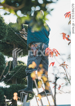 Japanese Gardener 131186270