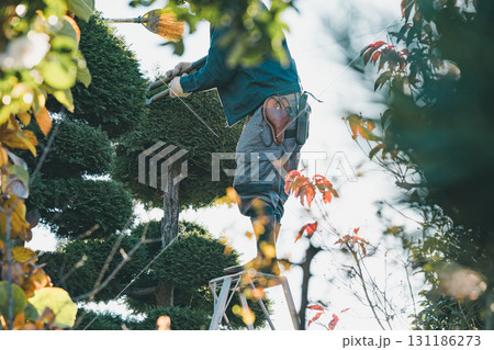 Japanese Gardener 131186273