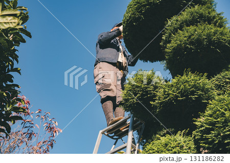 Japanese Gardener 131186282