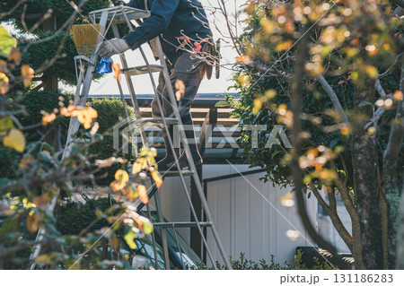 Japanese Gardener Japanese Gardener 131186283