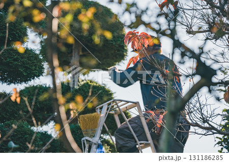 Japanese Gardener 131186285