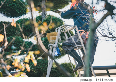 gardener 131186286
