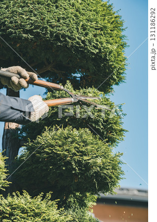 Japanese Gardener Japanese Gardener 131186292