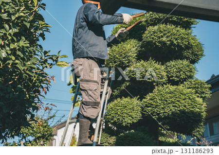 Japanese Gardener 131186293