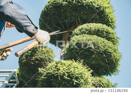 Japanese Gardener Japanese Gardener 131186298
