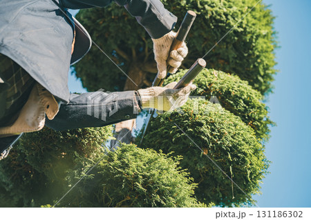 Japanese Gardener 131186302