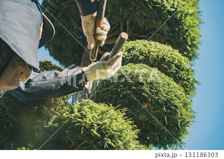 Japanese Gardener 131186303