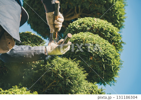 Japanese Gardener Japanese Gardener 131186304