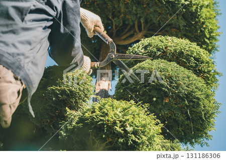 Japanese Gardener Japanese Gardener 131186306