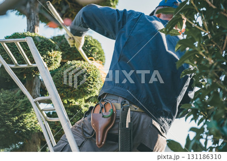 Japanese Gardener 131186310