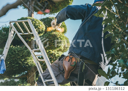 Japanese Gardener Japanese Gardener 131186312
