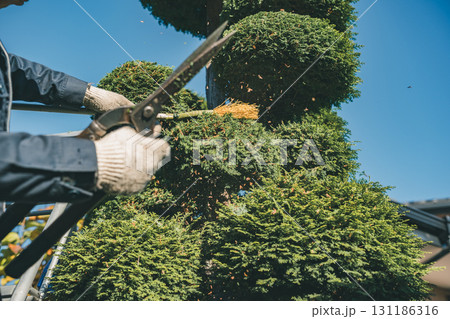 Japanese Gardener 131186316