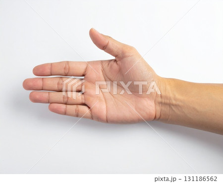 Open Human Hand Gesture Isolated on White Background 131186562
