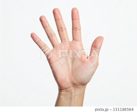 Human Hand Showing Open Palm Isolated on White Background 131186564