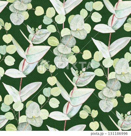Eucalyptus branch with pointed leaves watercolor seamless pattern on textured green background. Hand-painted art ideal for textile, natural cosmetics branding, packaging, fabric, eco decor, stationery 131186996