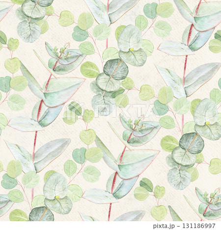 Eucalyptus branch with pointed leaves watercolor seamless pattern on textured paper background. Hand-painted art ideal for textile, natural cosmetics branding, packaging, fabric, eco decor, stationery 131186997