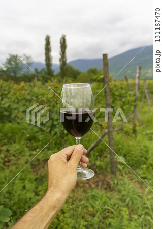 Hand Holding Glass of Red Wine in Vineyard Hand Holding Glass of Red Wine in Vineyard 131187470