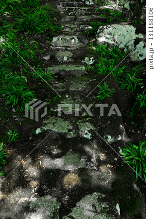 庭園の石段と木漏れ日 131188106