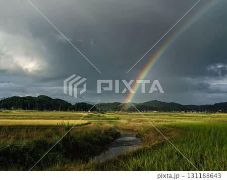 雨上がりの田園風景と鮮やかな虹 131188643
