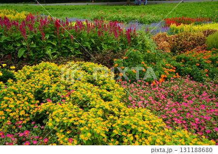 フラワーガーデン 131188680