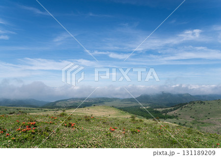 爽やかな高原 霧ヶ峰高原 爽やかな高原 霧ヶ峰高原 131189209