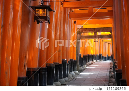 「千本鳥居4」 131189266