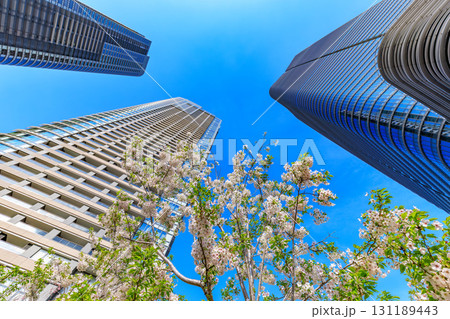 東京　港区の都市風景　 麻布台ヒルズ（森JPタワーと麻布台ヒルズレジデンス） 131189443