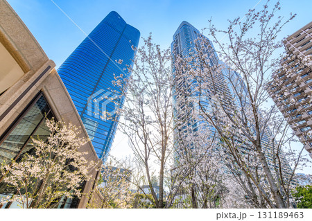 東京　港区の都市風景　 麻布台ヒルズ（森JPタワーと麻布台ヒルズレジデンス） 131189463