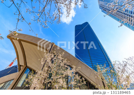 東京 港区の都市風景 麻布台ヒルズ(森JPタワーと桜) 東京 港区の都市風景 麻布台ヒルズ(森JPタワーと桜) 131189465