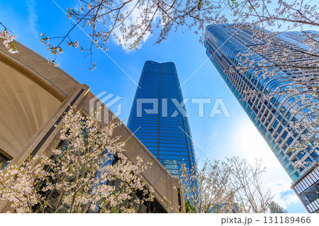 東京 港区の都市風景 麻布台ヒルズ(森JPタワーと麻布台ヒルズレジデンス) 東京 港区の都市風景 麻布台ヒルズ(森JPタワーと麻布台ヒルズレジデンス) 131189466