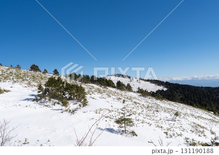 雪景色の富士見台高原 雪景色の富士見台高原 131190188