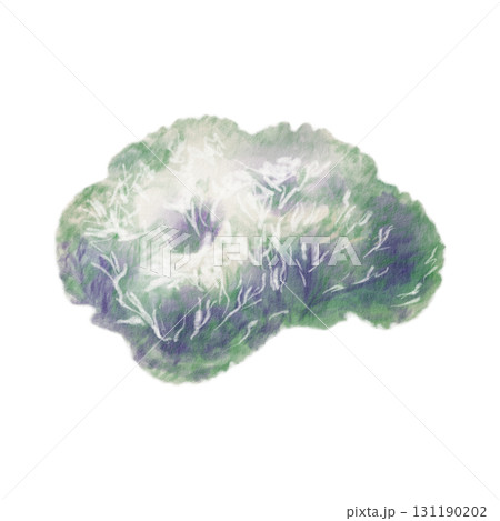 Scetch reindeer moss or Icelandic lichen in soft gray-greens,crafted with watercolor washes and textured colored pencils.For nature themes,childrens books,educational projects and encyclopedia Scetch reindeer moss or Icelandic lichen in soft gray-greens,crafted with watercolor washes and textured colored pencils.For nature themes,childrens books,educational projects and encyclopedia 131190202