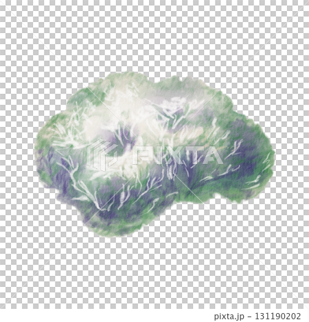 Scetch reindeer moss or Icelandic lichen in soft gray-greens,crafted with watercolor washes and textured colored pencils.For nature themes,childrens books,educational projects and encyclopedia 131190202