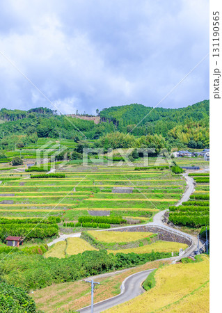 初秋の鹿里の棚田 福岡県八女市 初秋の鹿里の棚田 福岡県八女市 131190565