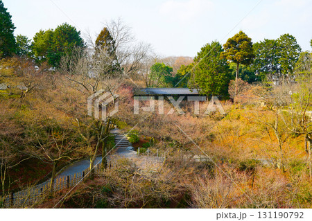 冬の東福寺 131190792