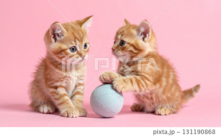 かわいい猫 131190868