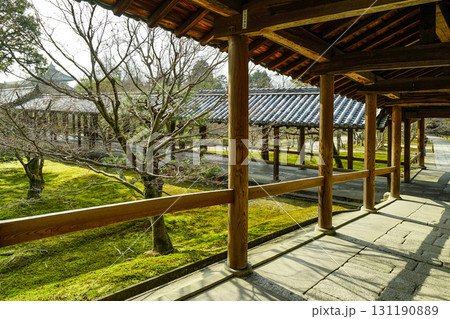 冬の東福寺　通天橋 131190889