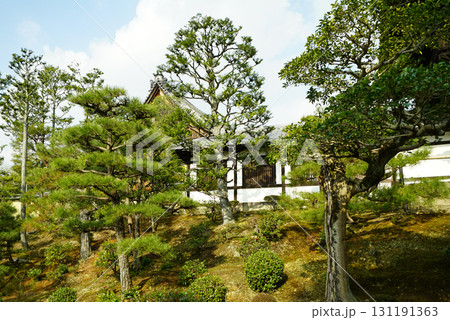 冬の東福寺 131191363