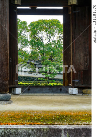 冬の東福寺 131191370