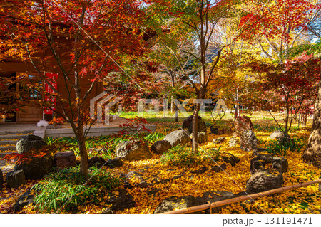 【東京都】紅葉が美しい九品仏浄真寺の閻魔堂 131191471
