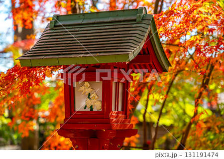 【東京都】鮮やかな紅葉に囲まれた九品仏浄真寺の灯籠 131191474