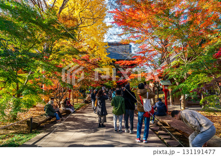 【東京都】紅葉が美しい九品仏浄真寺の山門 131191477