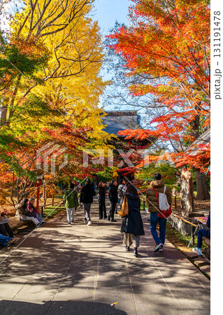 【東京都】紅葉が美しい九品仏浄真寺の山門 【東京都】紅葉が美しい九品仏浄真寺の山門 131191478