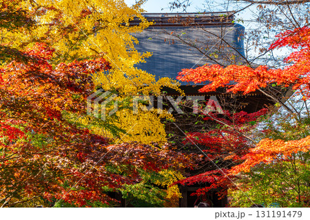 【東京都】紅葉が美しい九品仏浄真寺の山門 131191479