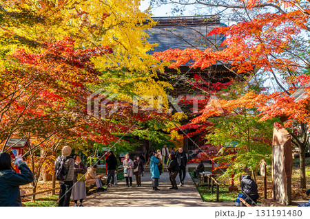 【東京都】紅葉が美しい九品仏浄真寺の山門 131191480