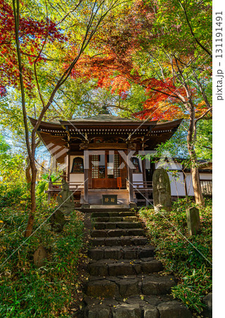 【東京都】紅葉が美しい九品仏浄真寺の観音堂 【東京都】紅葉が美しい九品仏浄真寺の観音堂 131191491